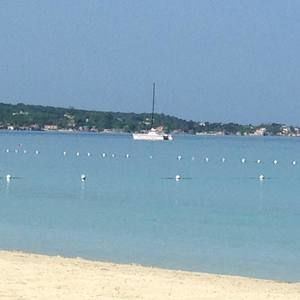 Meet your Posher, Lynn